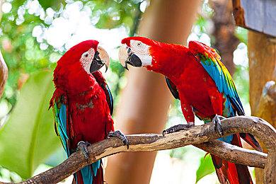 Xbox总监斯宾塞：游戏未必进XGP才能成功